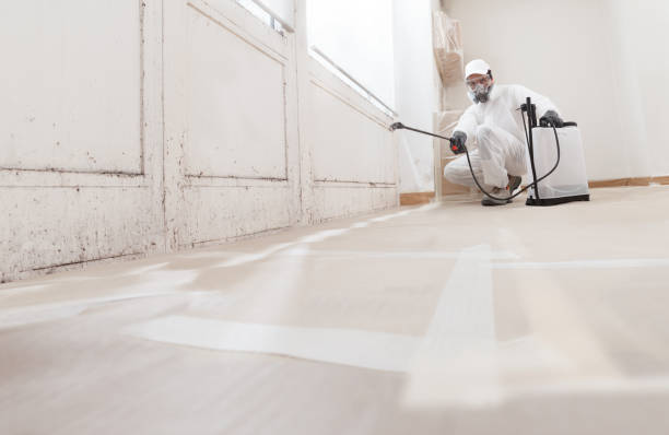 24/7 Emergency Attic Mold Removal experts in Trenton, IL