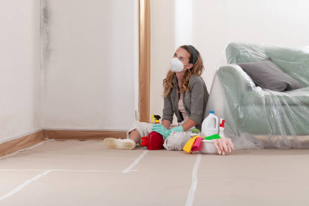 Reliable Attic Mold Removal contractor in Trenton, IL by WQB Mold Removal